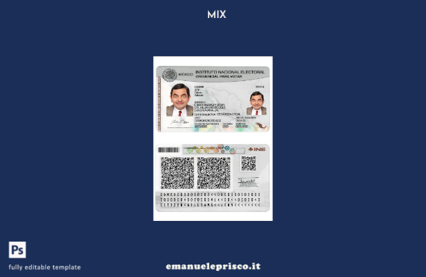 modello elettorale stile verificato del Mexico instituto nacional